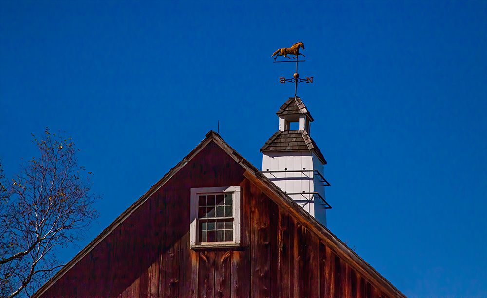 USA-New England-Vermont weather vane on top of wooden barn topped with horse art print by Sylvia Gulin for $57.95 CAD